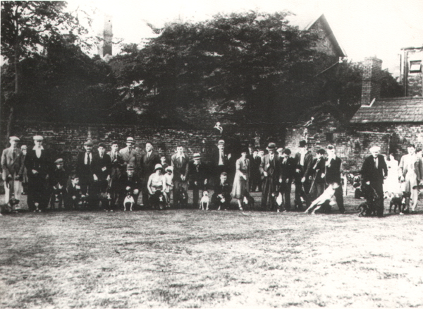 First_Staffordshire_Bull_Terrier_show_1935.jpg